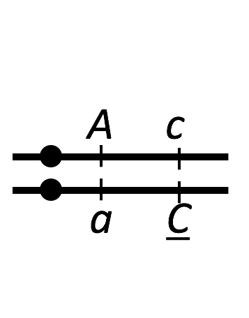 linked genes in repulsion